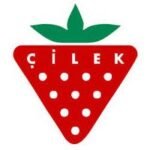 cilekmobilya